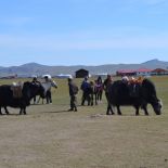 Фотоотчёт по туру "Энергетические центры Байкала и Монголии" (фото-18)