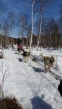 Фотоотчёт по туру "На снегоходах и в собачьих упряжках по Байкалу" (фото-3)