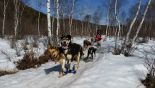 Фотоотчёт по туру "На снегоходах и в собачьих упряжках по Байкалу" (фото-5)