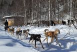 Фотоотчёт по туру "На снегоходах и в собачьих упряжках по Байкалу" (фото-7)