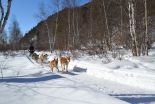 Фотоотчёт по туру "На снегоходах и в собачьих упряжках по Байкалу" (фото-8)